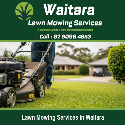 Professional lawn mowing equipment used by Waitara lawn care specialists for quality grass maintenance